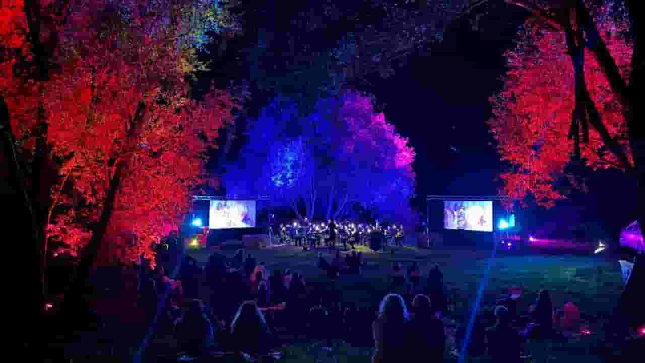 Immagine della banda