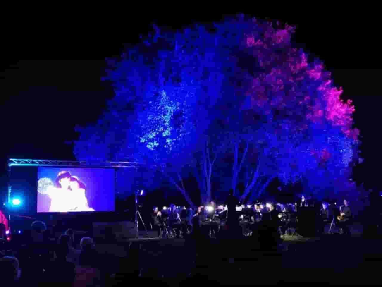 Immagine della banda