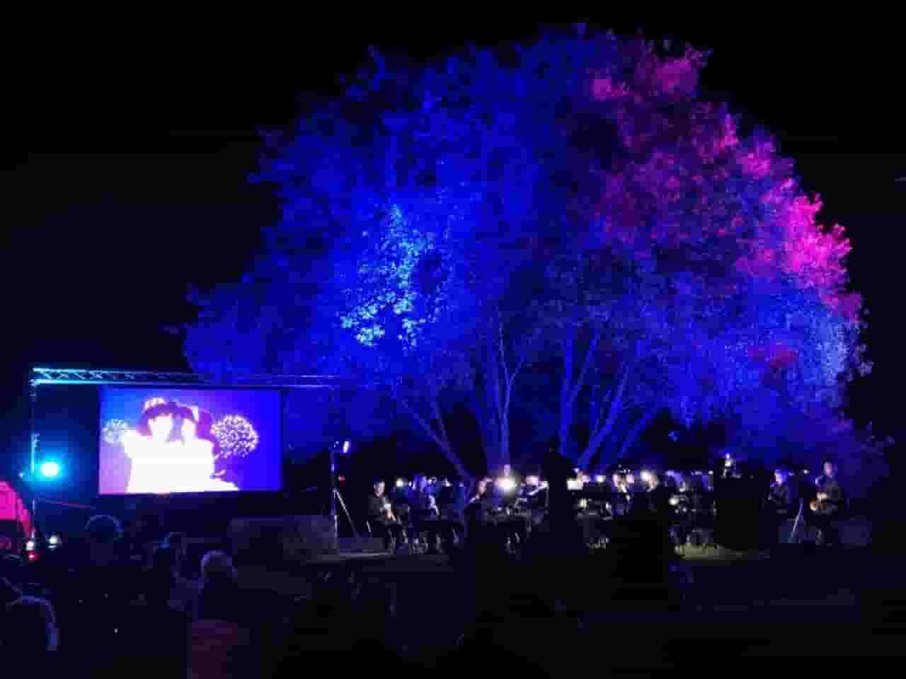 Immagine della banda