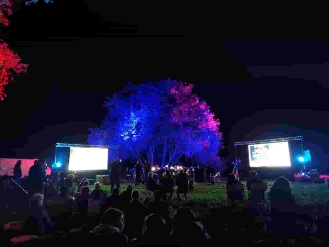 Immagine della banda